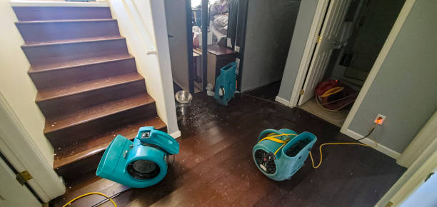 Best Water damage restoration services  in Lake City, PA
