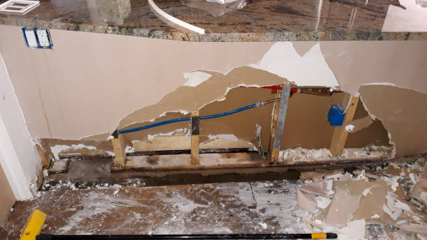 Best Local water damage restoration  in Lake City, PA