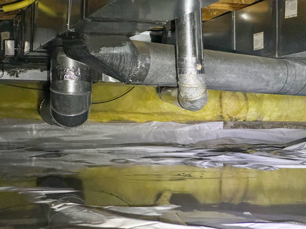 Best Basement water damage restoration  in Lake City, PA