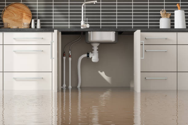 Best 24-hour water damage restoration  in Lake City, PA