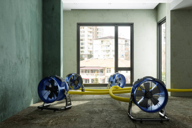 Best Water damage restoration near me  in Lake City, PA