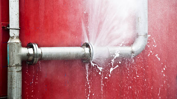 Best Basement water damage restoration  in Lake City, PA